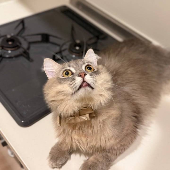 再来週も！