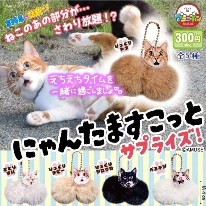リコからのお願いだよ〜😢💞