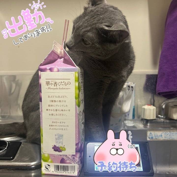 遅くなりましたが