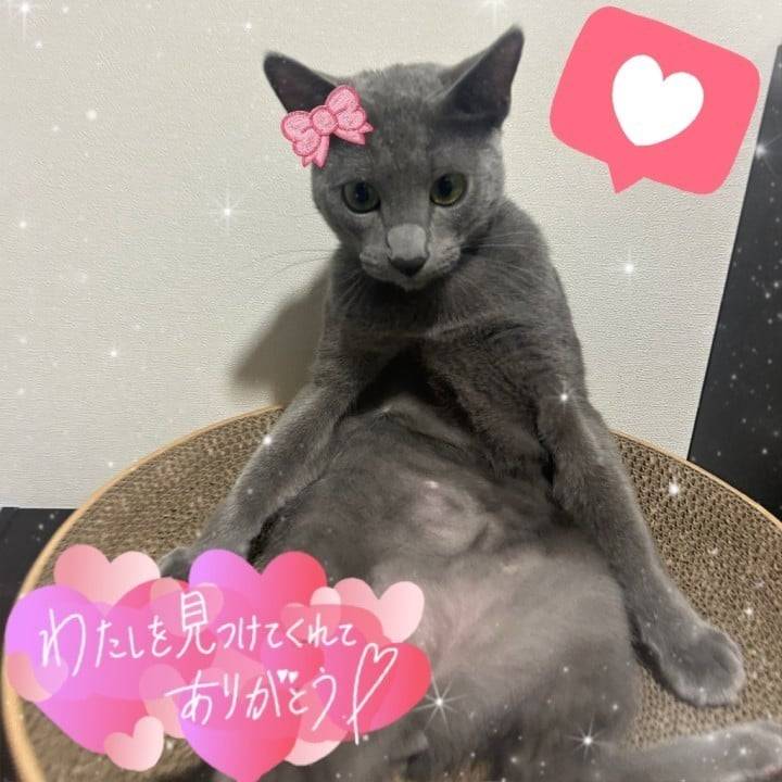 完