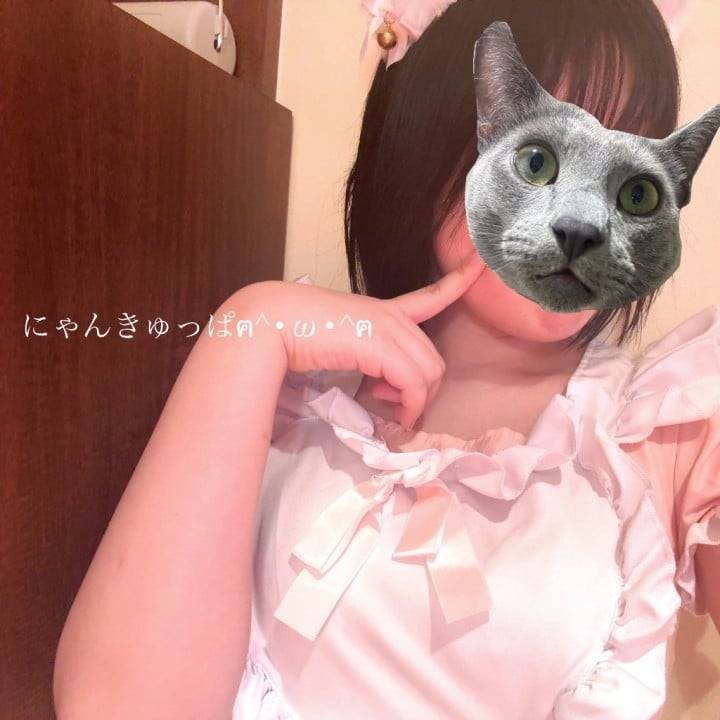 おはよう☀️ゆうかだよ〜にゃんきゅっぱにいるよ🐱💕