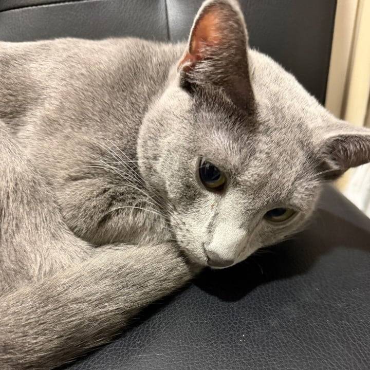 にゃんの爪🐈‍⬛💕