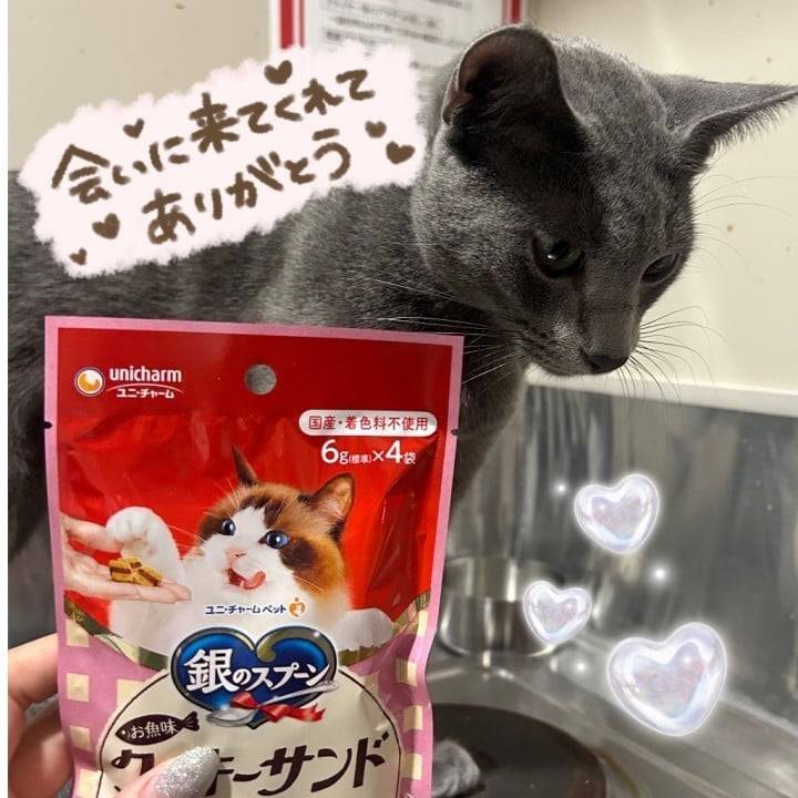 松山ただいま！！