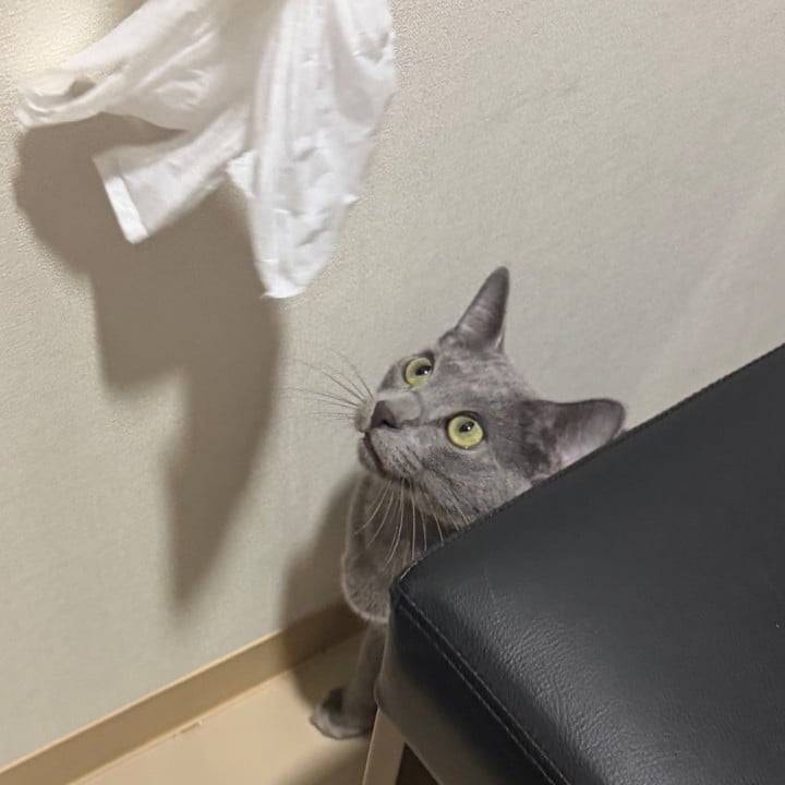 癒し🐿️💕