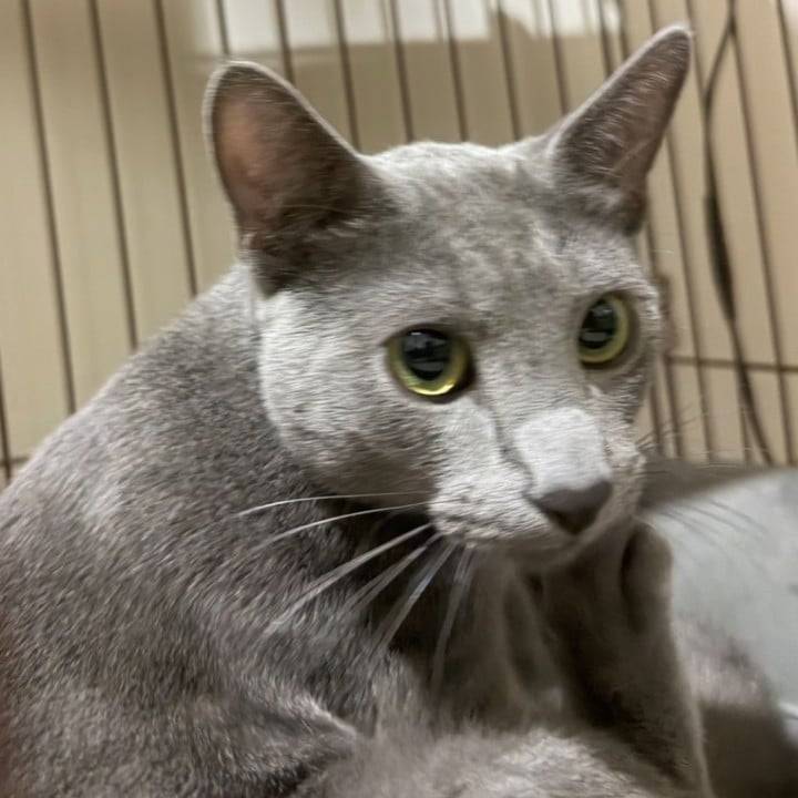7日間ありがとう💜