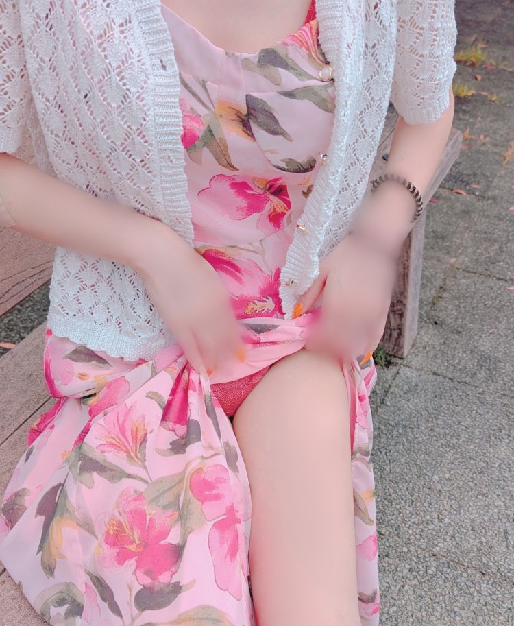 今日は何の日🫍