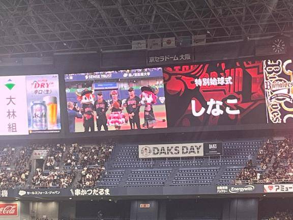 おひさしぶりです?