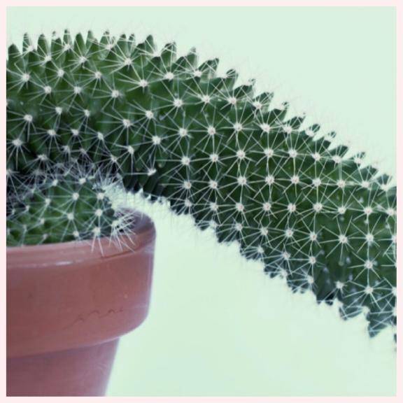 あさみ-M性感player(New Heavens Bless (ニューヘブンズブレス))