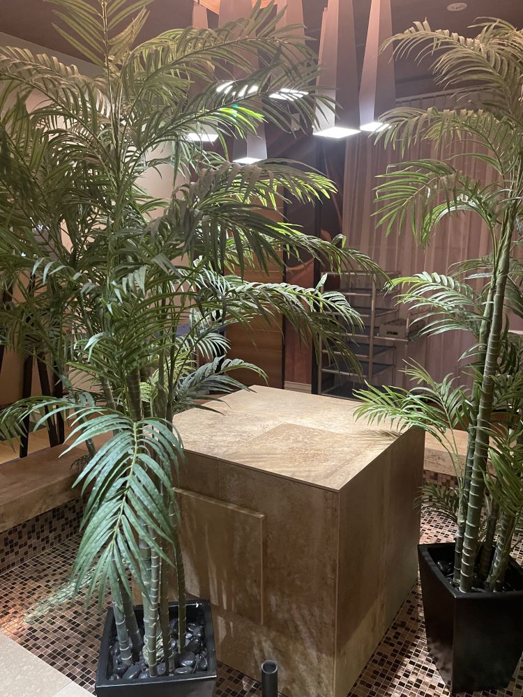 本指名 メガネさん👓