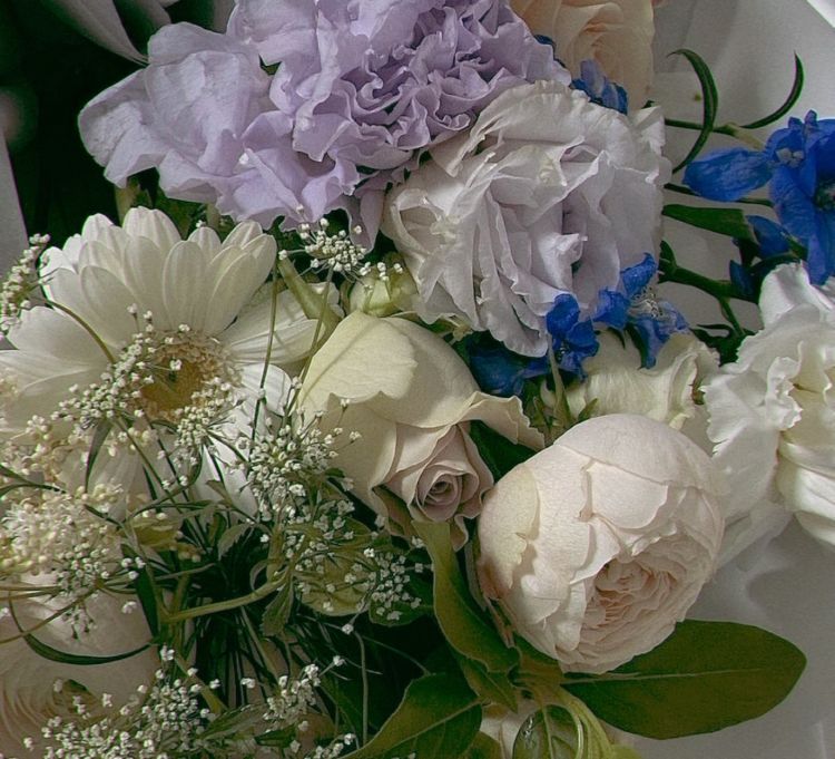 道後周辺ホテル Hさま