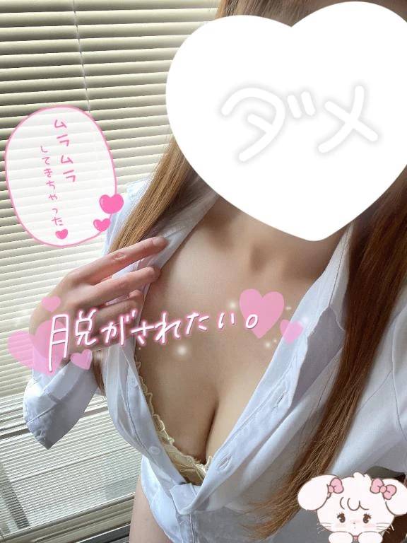 今日も
