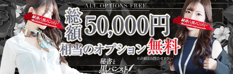 オプション無料[PC]