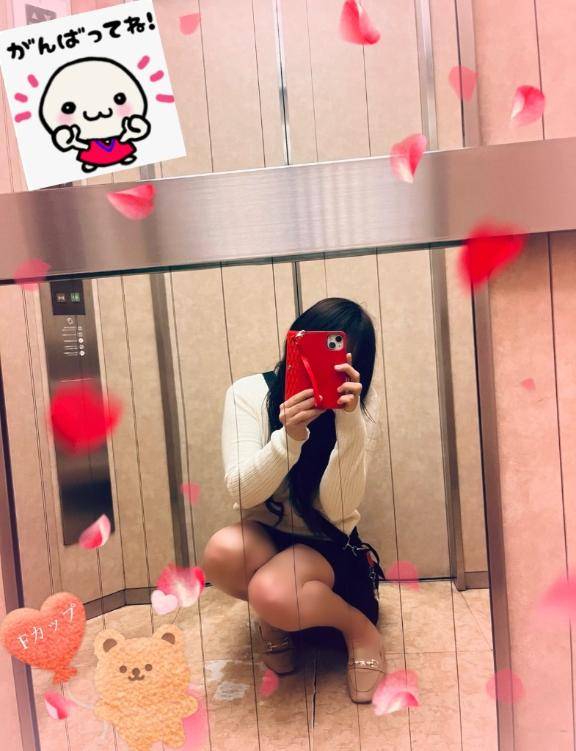 本日はお休みです。