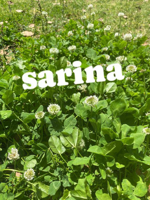 ?本日のお礼?????????