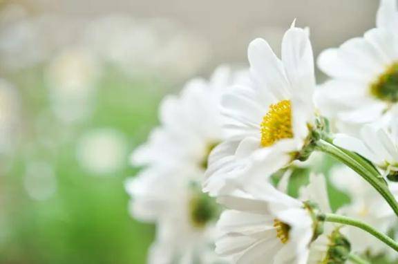 初めまして大阪ー！?