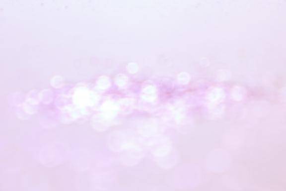 ありがとうございました?