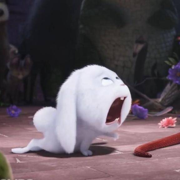 たまには答えてみる🤭︎💕︎︎