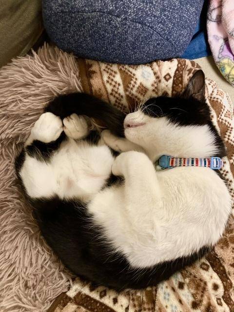 ありがとうございます💕