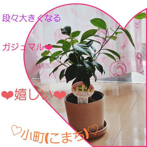 ★うふふ!!!★