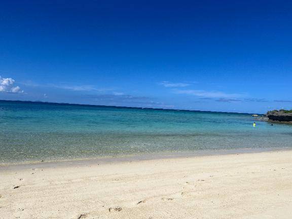 出勤しました??