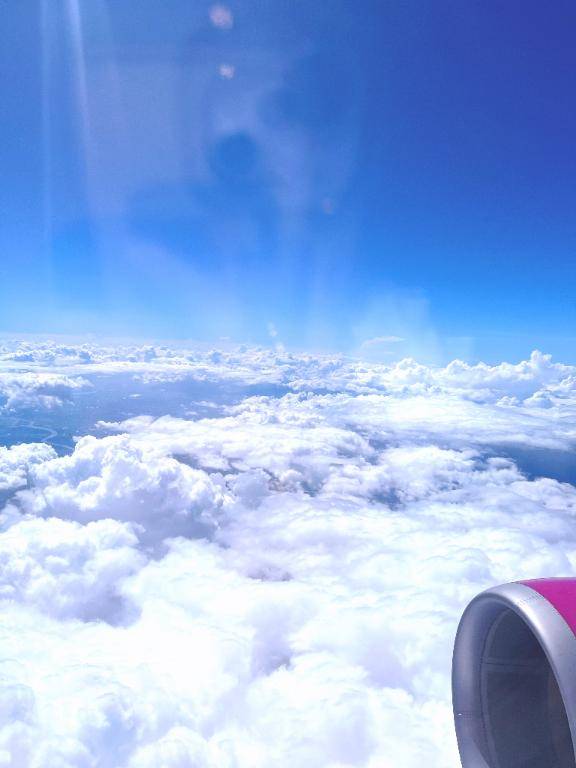 出勤しました??