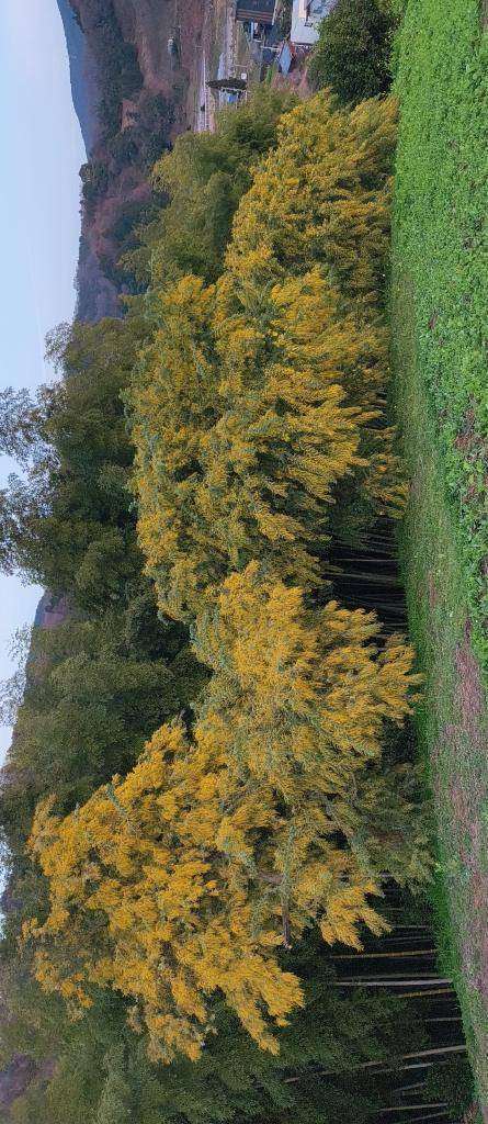 ご無沙汰してます(*^^*)