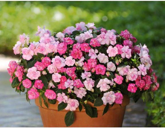 いいお天気ですね♪