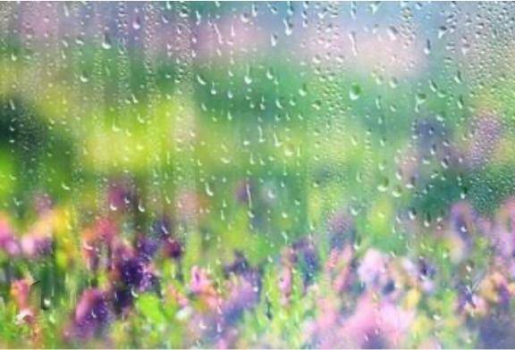 雨ですね、、、??