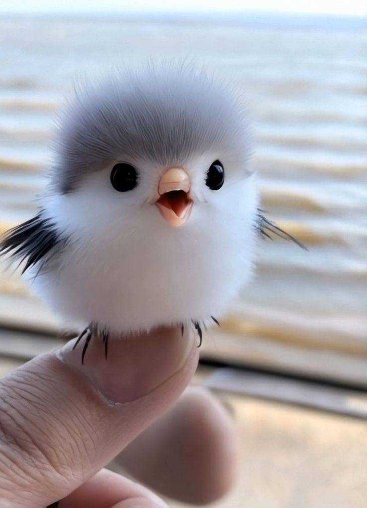 宮原りか☆期待新人さん(イキます アナリスト)