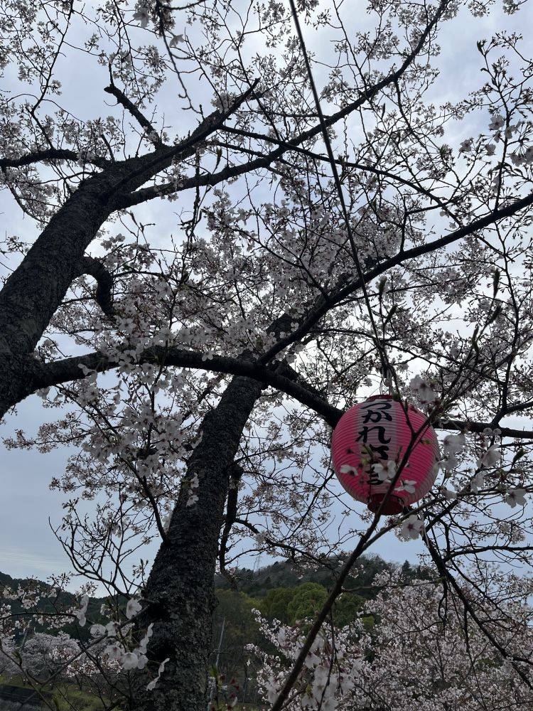 おはようございます
