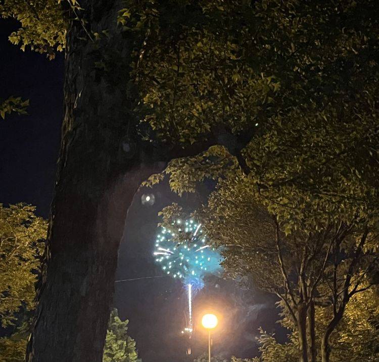 今日最終日