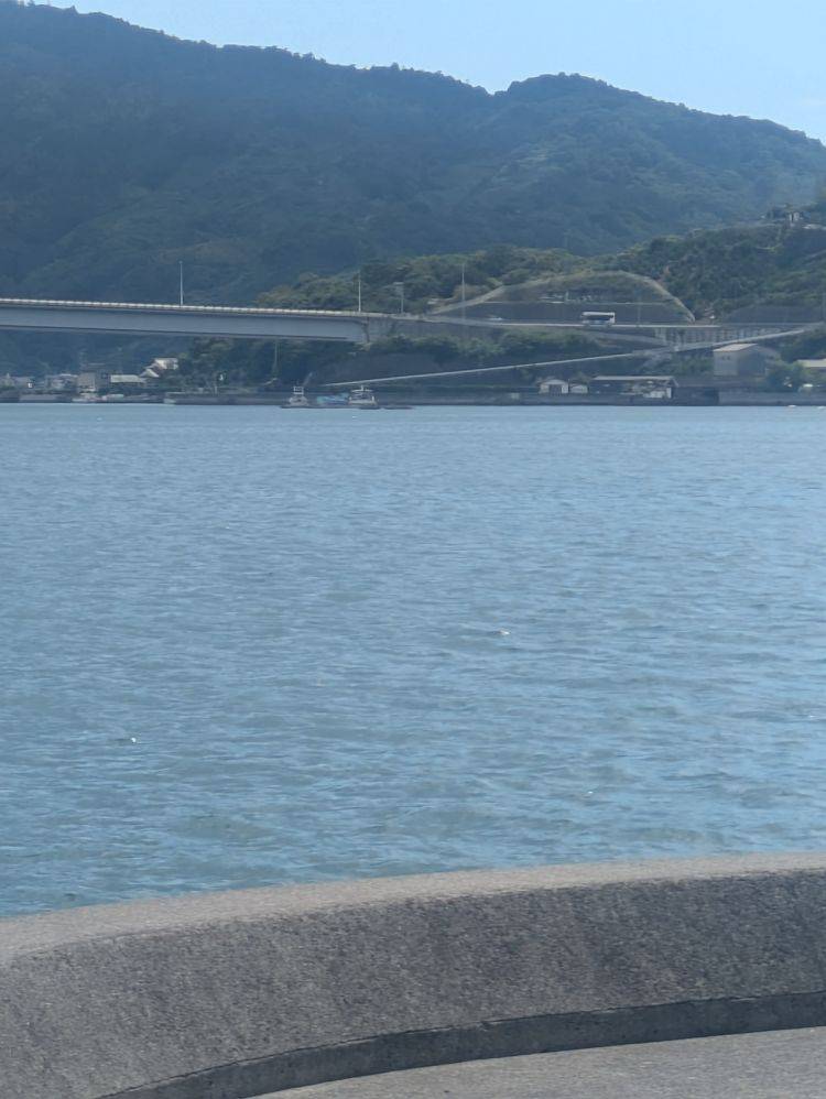 木曜日１９時から
