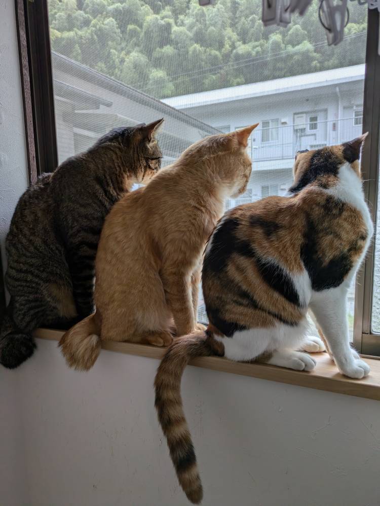 土曜日＆日曜日✨