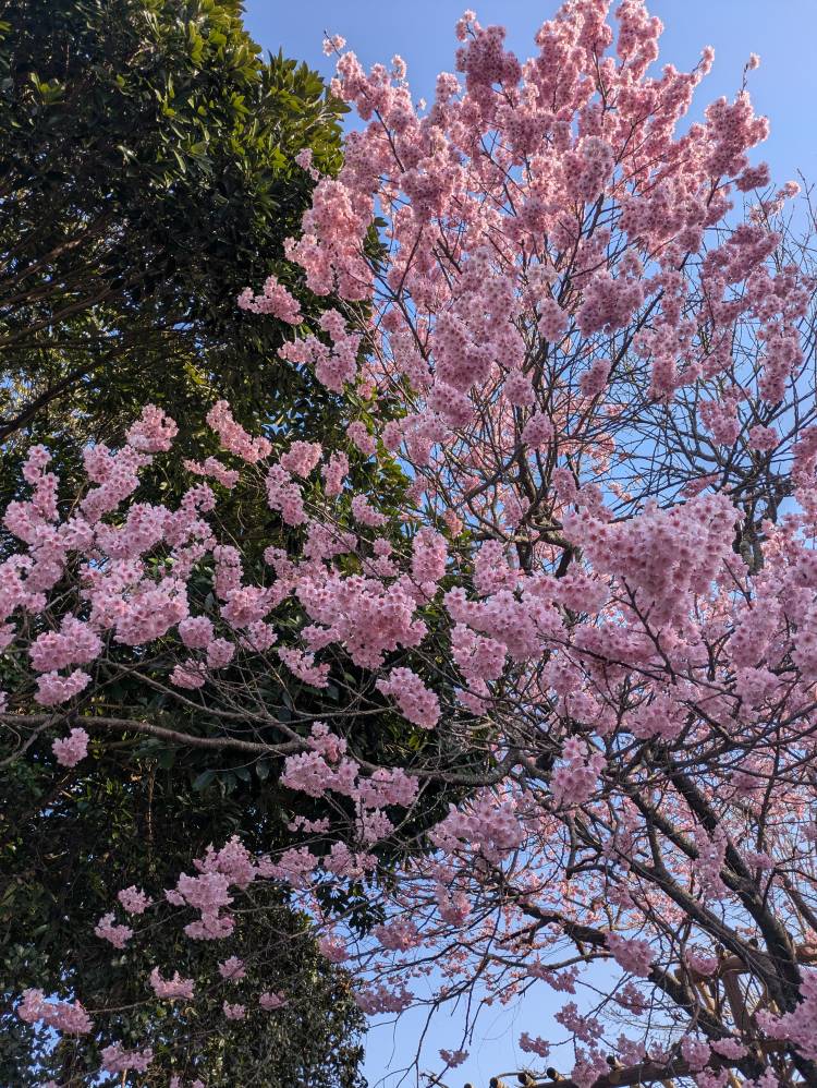 いいね👍️押してね😊