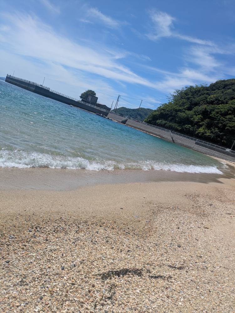 南予には、、