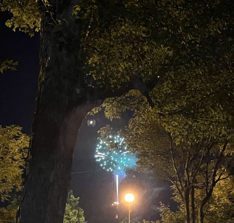 今日最終日🚨