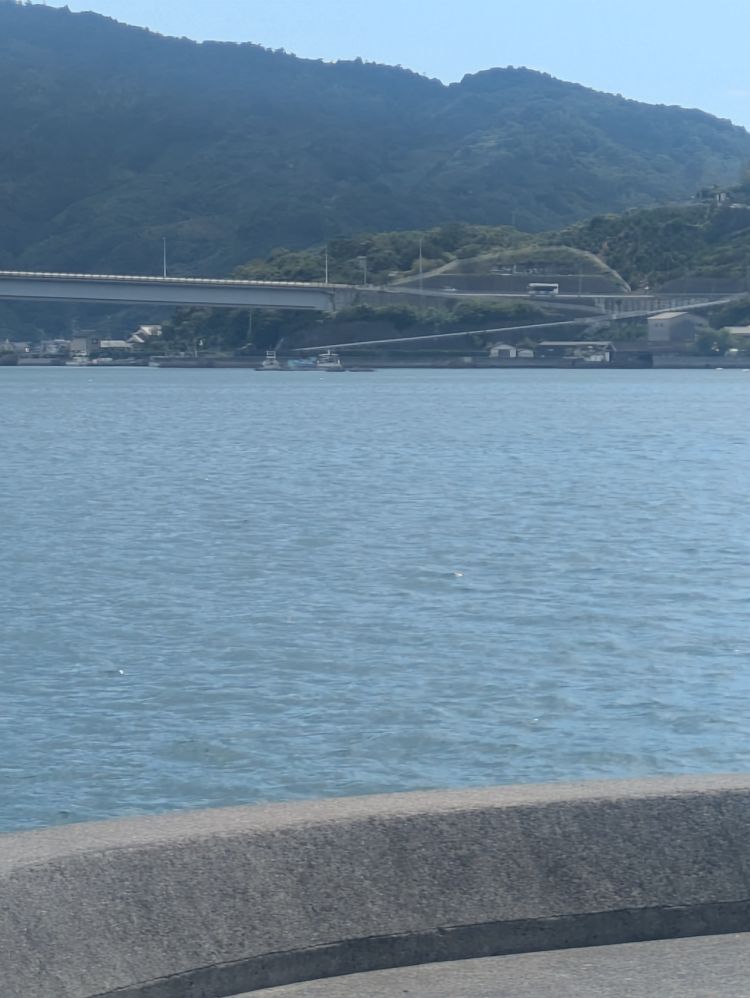 木曜日１９時から❤️