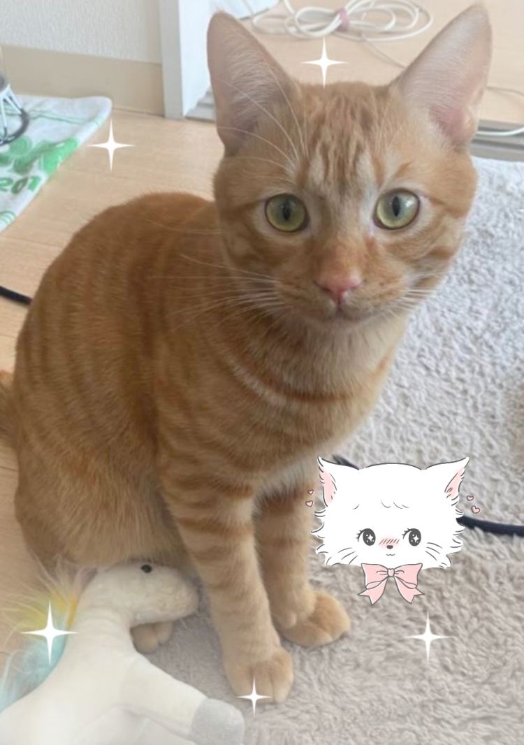 ♡ご自宅の仲良しリピさん♡お礼です🤗
