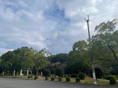 天気予報は雨