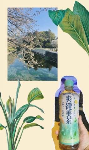 7日(月)お礼S君
