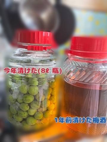 今年も