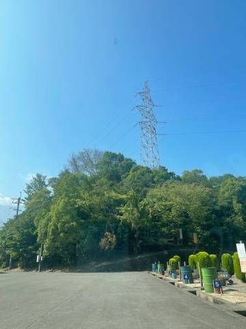 午前中の