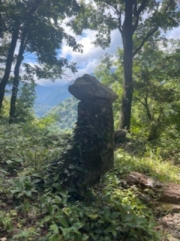 出勤情報