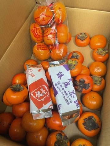 上田絵里(五十路マダム 新居浜店(カサブランカグループ))