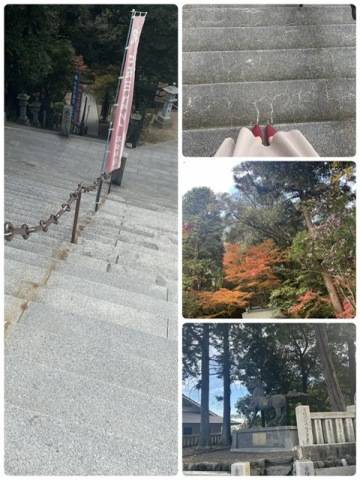 尾崎幸子(五十路マダム 新居浜店(カサブランカグループ))