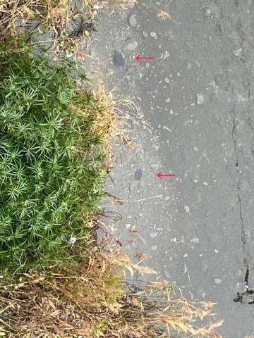 おはようございます