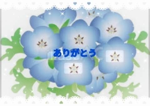 お礼です