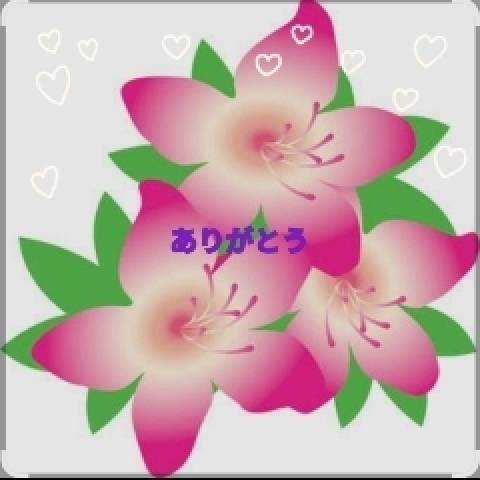 お礼です