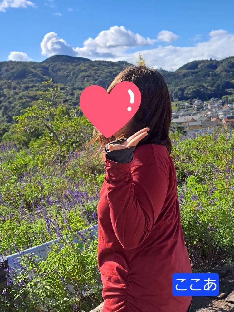 出勤しました