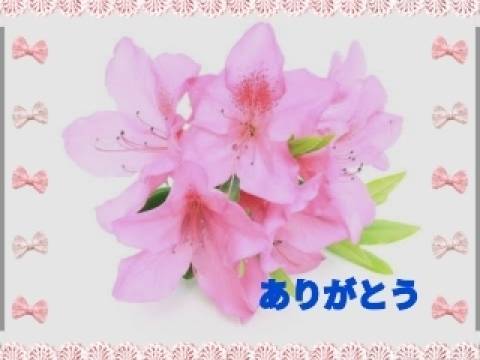 お礼です